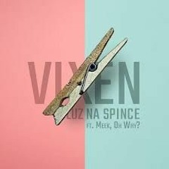 Vixen ft. Meek, Oh Why? - Luz na spince
