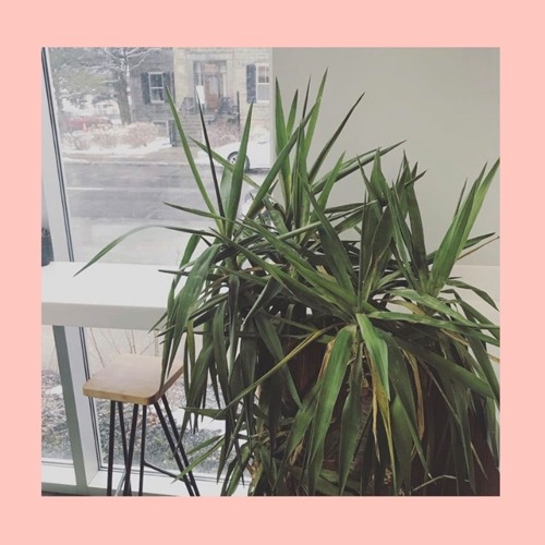 your way [ep]