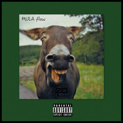 MULAFLOW - Corleone Franccini