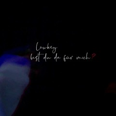 lowkey -  da für mich  (prod. HXRXKILLER)