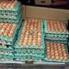 Vinheta do ovo - Carro de ovos