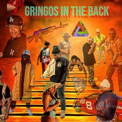Devo - Gringos In The Bag