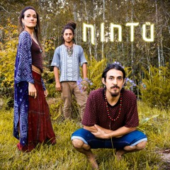 Antikuna Anqa (NINTÜ BAND)