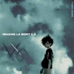 VXGIN GXNG - IMAGINE LA MORT 2.0
