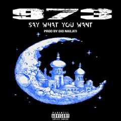 973 - Say What You Want (Prod By Gio Nailati)