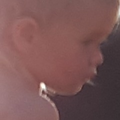 manhattan etransfer - Pillows