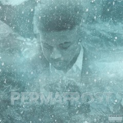 Zhillin - Permafrost