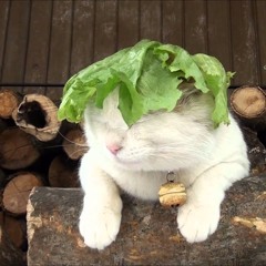 chill music to do hw or sleep :D