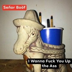 I Wanna Fuck You Up The Ass - Señor Boöf