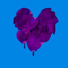 adam&steve - Wherever You Are Feat. Maty Noyes (THINKTVNK Remix)