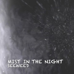 Mist In The Night