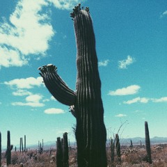 PAIN (ft. Evian Akers)