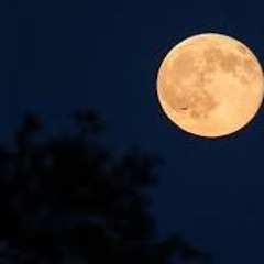 Tonight Prod.sketchmyname