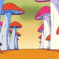 Mushrooms