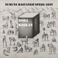 Numune Hastanesi #31 speşıl gest BORA BAŞKAN aka KAPAK MAFYASI aired 2019 06 04