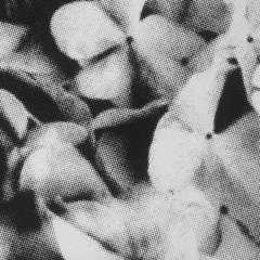 Premiere: Amethyst - Calm Black Water [Vaknar]