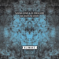 Nadja Lind And D. Diggler - Quantum State (Markus Suckut Remix)