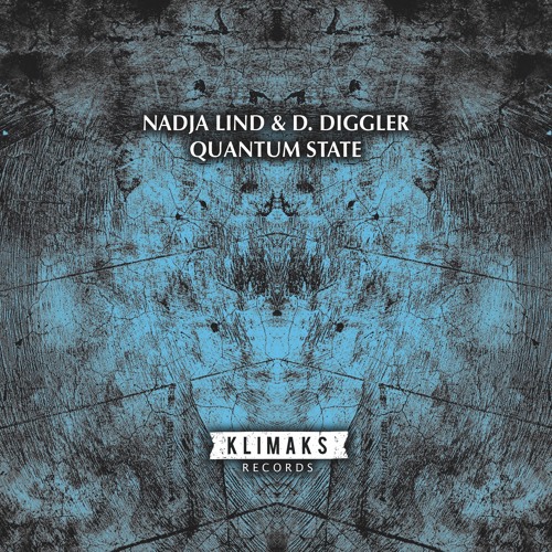 Nadja Lind And D. Diggler - Quantum State (Markus Suckut Remix)
