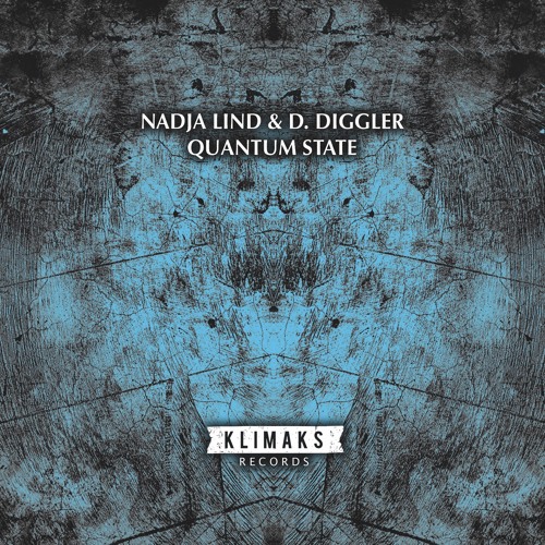 Nadja Lind and D. Diggler - Quantum State (Original Mix)