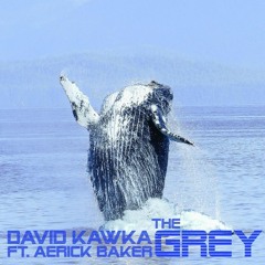 David Kawka - The Grey (feat. Aerick Baker)