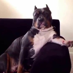 sumshit (side2side)<3