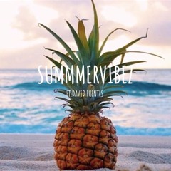 SUMMERVIBEZ