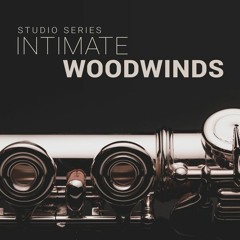 Library Of Dreams (Dry Intimate Studio Woodwinds Only + EQ)