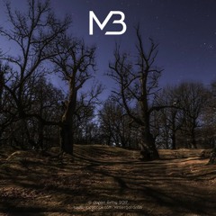 Jonne Malmborg - Overwhelming
