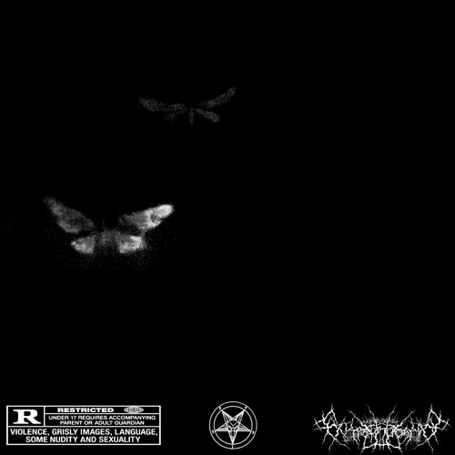 FUCKING CHILD CORPSE