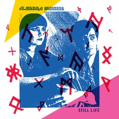 Algebra Suicide - Still Life SNIPPETS