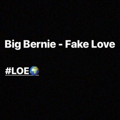 Big Bernie - Fake Love