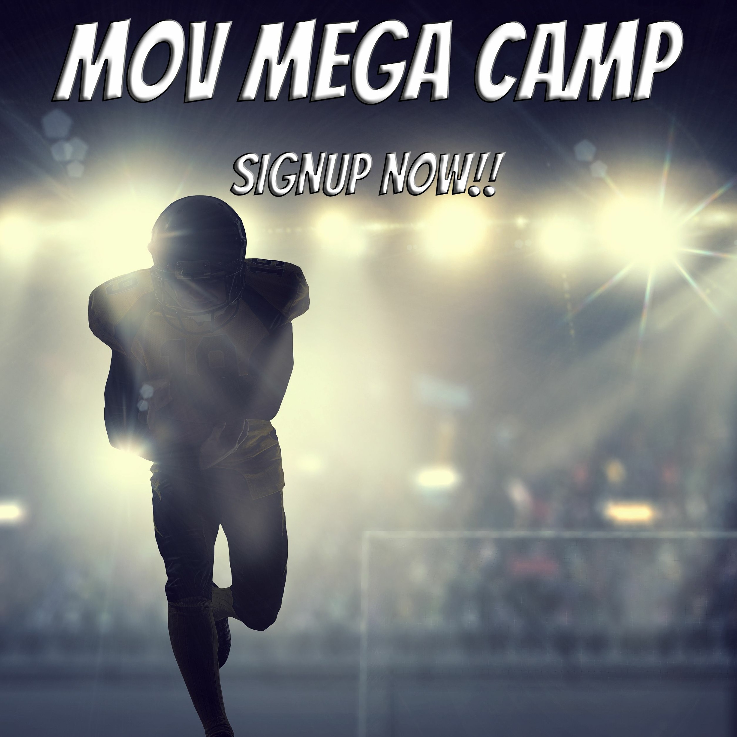 Megacamp 2019 episode artwork
