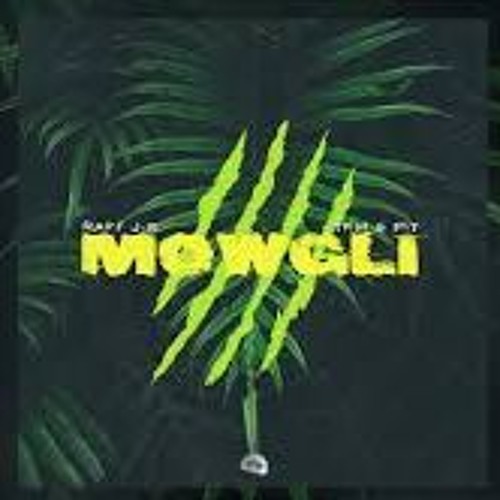 Raff J.R. x TKM & PIT - mowgli