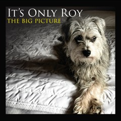 Every Time I See Her