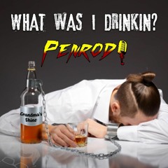 What Was I Drinkin [Parody of What Was I Thinkin' by Dierks Bentley]