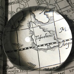Taprobana