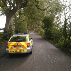 the branch love this tune bai🚗🚗