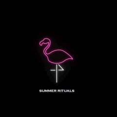 SUMMER RITUALS (Martin Garrix x Don Diablo x Tiesto x Avicii)