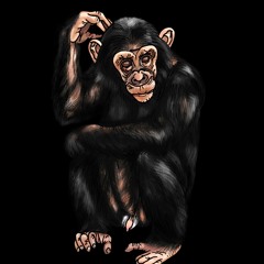 Σπείρα & ΚΚ - Πολύ κακό για το τίποτα (2019)