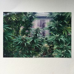 2GRAMS - Backyard (Prod. WUPH)