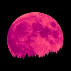 Moontribe 26 Year full dj set (Strawberry Moon) June 2019