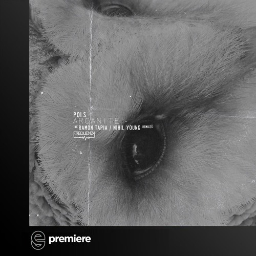 Premiere: POLS - Prismatic Circle (Nihil Young Remix) - Frequenza Records