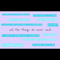 all the things we never said