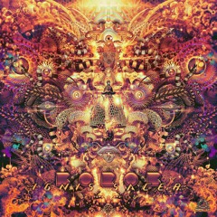 Borob - Swamp Light  "OUT SOON" by Popol Vuh Records