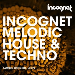 Incognet - Melodic House & Techno Samples