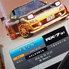 FEIN - MAXI TUNE