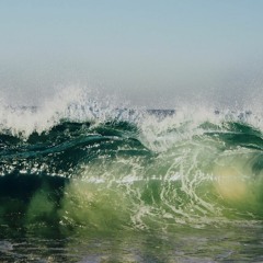 Dancing Whale - Must Hear New Music [June, week 3]