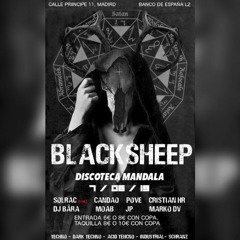 Bära - 7th June 2019 - BlackSheep