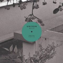 PREMIERE: Diego Krause — Bring The Noise (Original Mix) [Unison Wax]