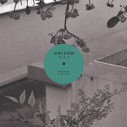 PREMIERE: Diego Krause — Bring The Noise (Original Mix) [Unison Wax]